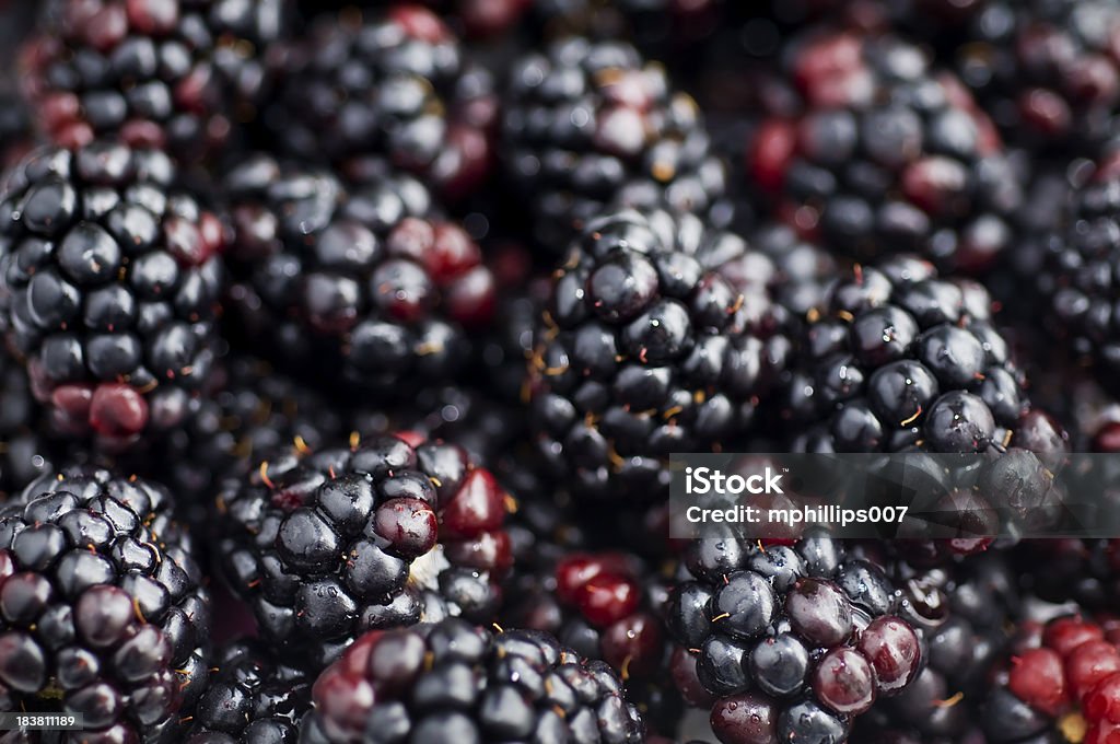 Fundo do Blackberry - Royalty-free Amora Preta Foto de stock