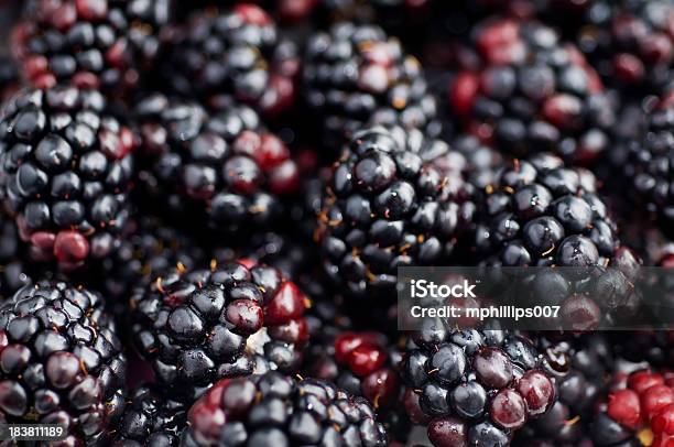 Fundo Do Blackberry - Fotografias de stock e mais imagens de Amora Preta - Amora Preta, Fruta, Macrofotografia