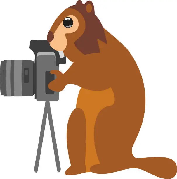 Vector illustration of The marmot stands behind the camera and pretends to take a picture