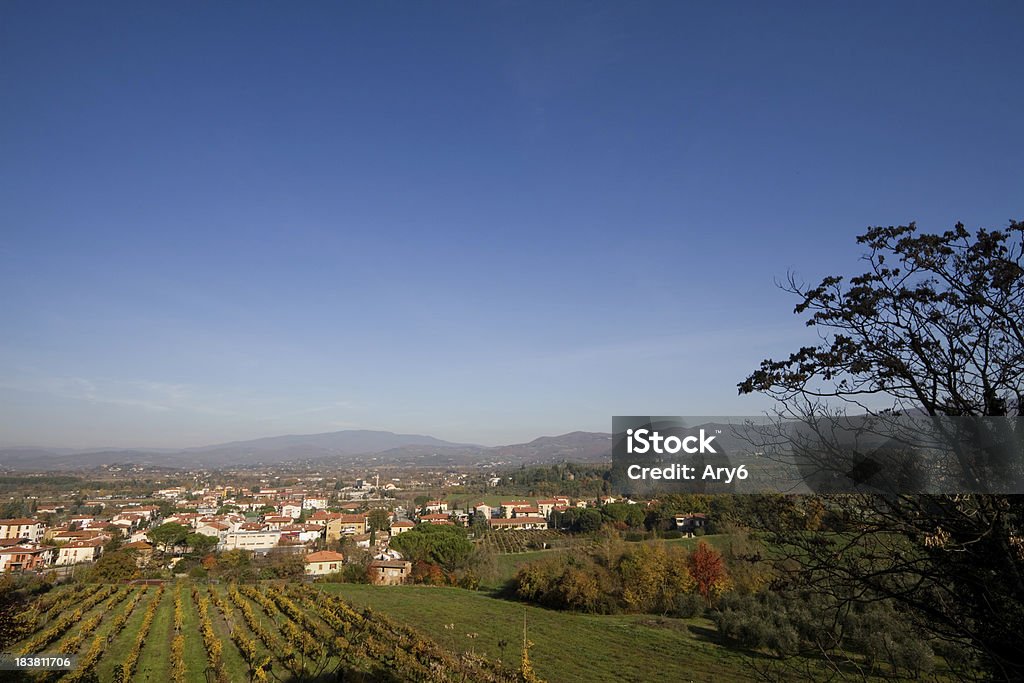 Виноградники в Тоскане - Стоковые фото Ареццо роялти-фри