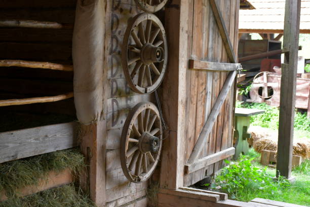 ポーランドの田舎の晴れた夏の日に見られる納屋、家、または小屋の木製のドアの隣にある、木製の壁に取り付けられた縁のいくつかの木製の車輪のクローズアップ - branch plant part ストックフォトと画像