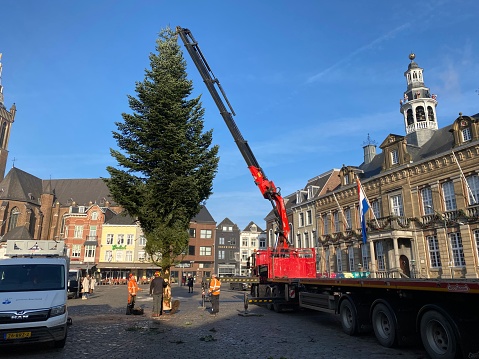 Roermond, Netherlands - December 07,  2023.  Municipal workers are busy with the reloading and setset up of the City Christmas Tree.
