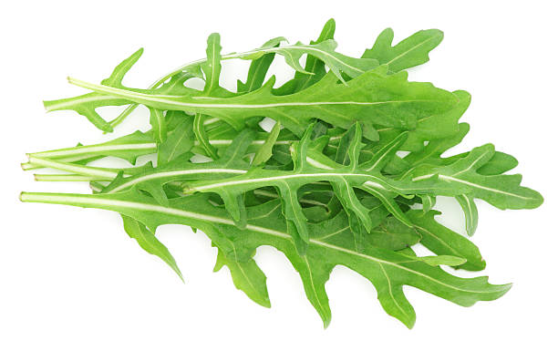Rucola leaves isolated on white Rucola leaves isolated on whiteMy other similar images arugula photos stock pictures, royalty-free photos & images