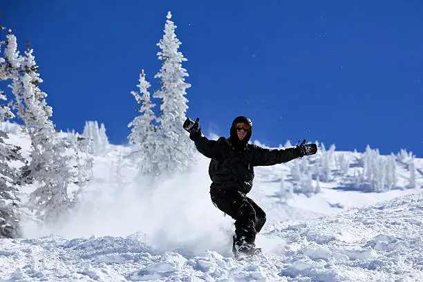 Snowboarder in action, Snowbird, Utah, USA