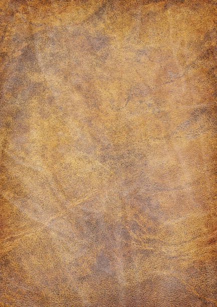 istock High Resolution Animal Skin Old Parchment Vignetted Grunge Texture 183813182