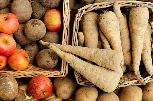 inverno produtos hortícolas - parsnip vegetable winter food imagens e fotografias de stock