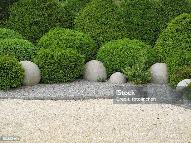 Gardendesign Con Buxus E Yew - Fotografie stock e altre immagini di Ghiaia - Ghiaia, Giardino domestico, Sentiero di giardino