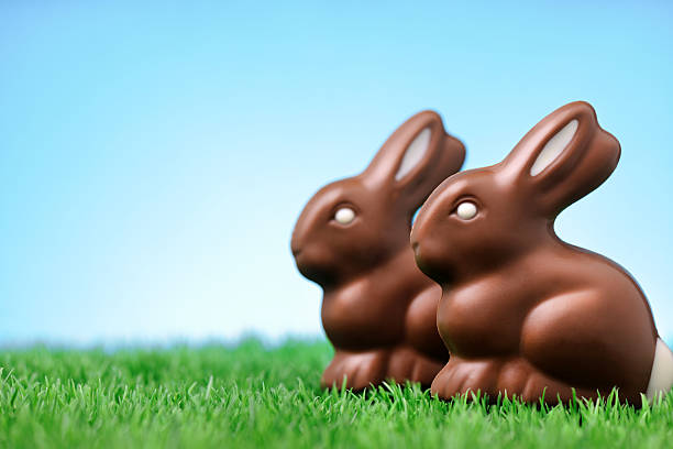 チョコレートのウサギの芝生 - bunny painting ストックフォトと画像