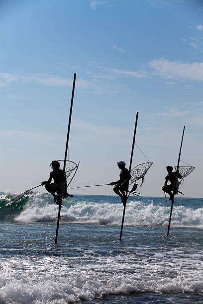istock stilt fishing sri lanka 183814736