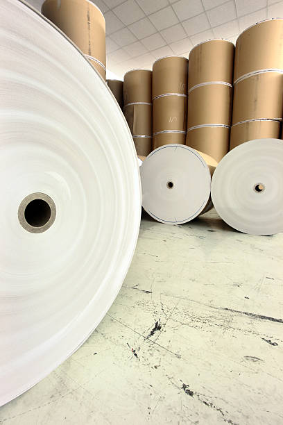 istock Giant spools of raw paper stacked in a warehouse 183814830