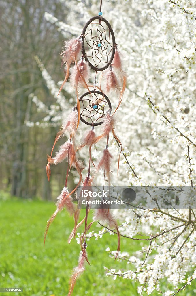 Indianischer Traumfänger in Schlehdorn bush - Lizenzfrei April Stock-Foto