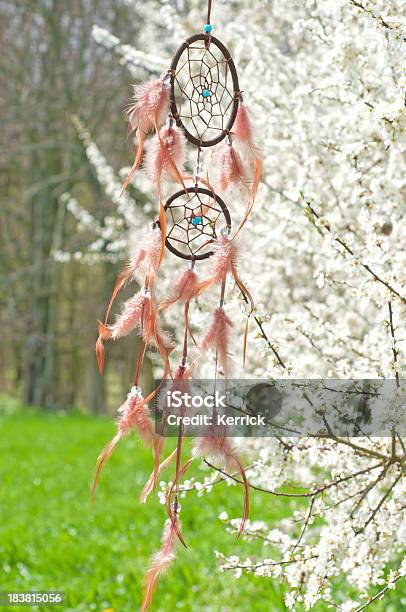 Indianischer Traumfänger In Schlehdorn Bush Stockfoto und mehr Bilder von April - April, Baumblüte, Biegung