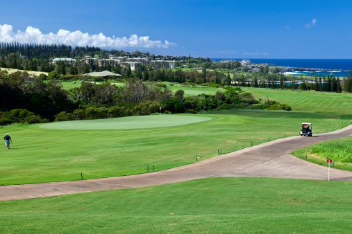 A Maui Hawaii Golf Course that overlooks the Pacific Ocean ...