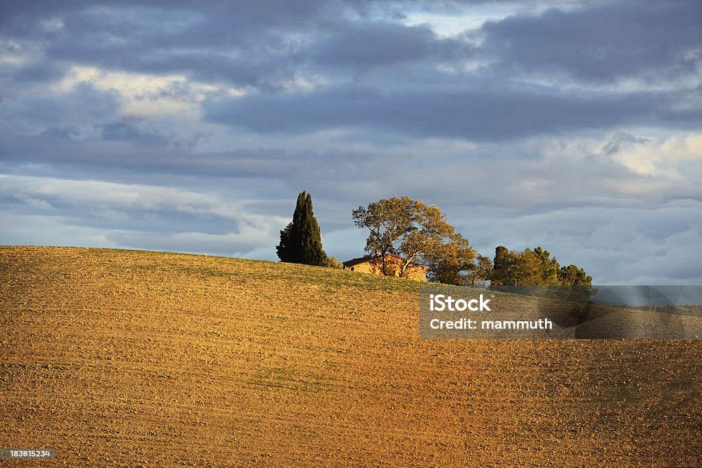 Campo Lavrado na Toscana - Foto de stock de Pôr-do-sol royalty-free