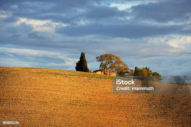 Foto de Campo Lavrado Na Toscana e mais fotos de stock de Pôr-do-sol - Pôr-do-sol, Agricultura, Ajardinado