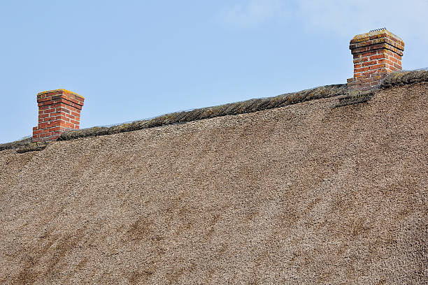 istock Thatched roof and chimneys 183815268
