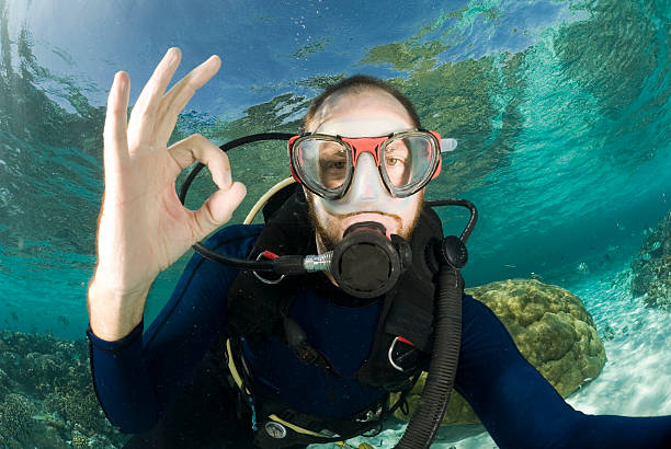 istock diver gives the ok signal 183815296