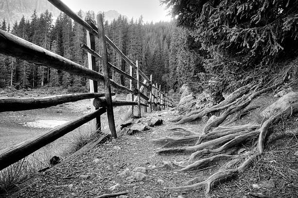 корни и деревянный забор вдоль траектории - country road fence road dolomites стоковые фото и изображения