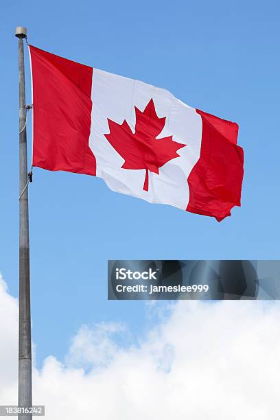Bandiera Del Canada - Fotografie stock e altre immagini di Bandiera del Canada - Bandiera del Canada, America del Nord, Asta - Oggetto creato dall'uomo