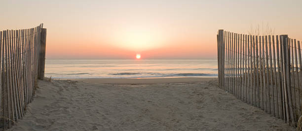 istock Sunrise at the End of Path 183816799