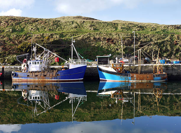 istock Two Blue Fishing Boats at Berth 183816995