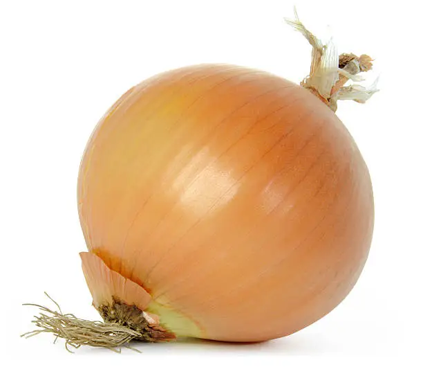 Onion. 