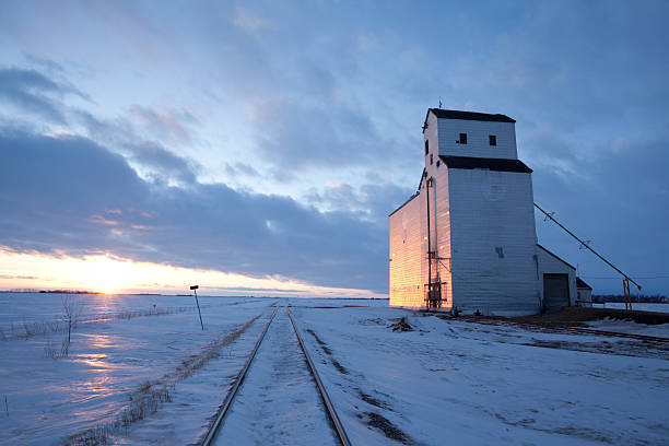 silo - manitoba prairie landscape canada foto e immagini stock