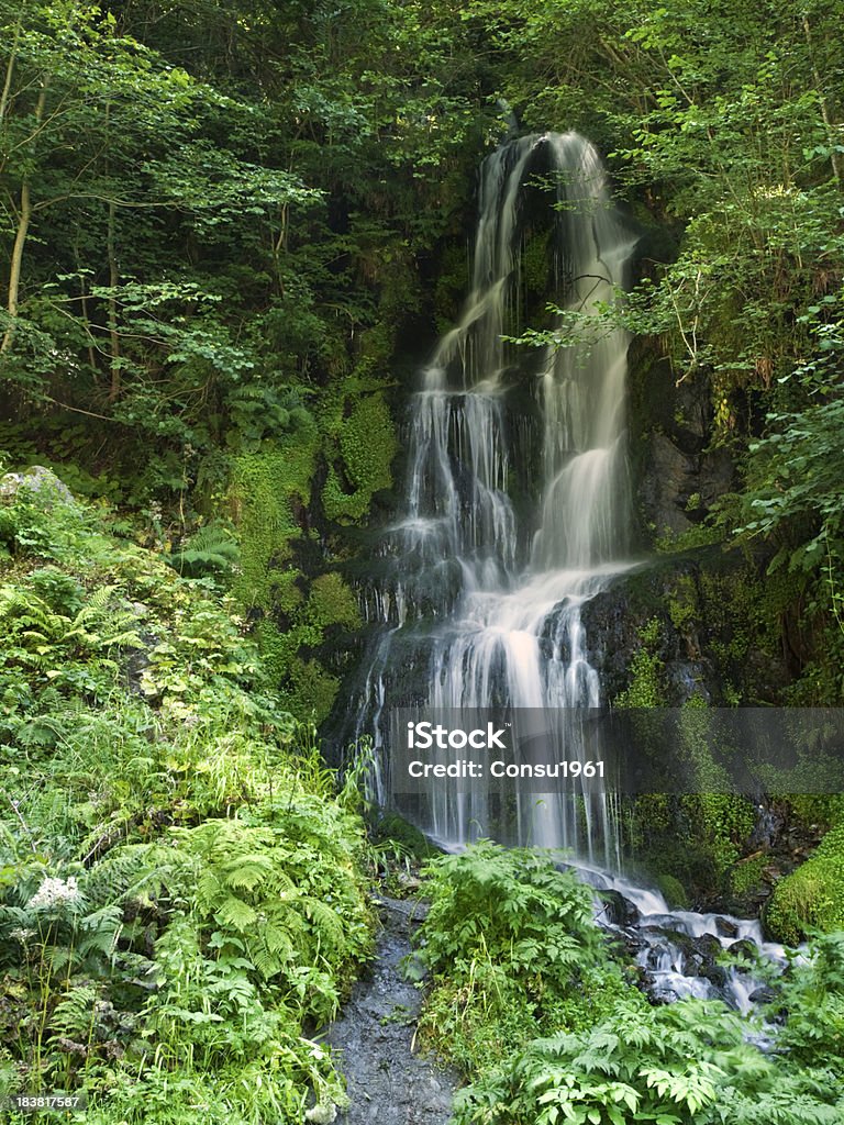 En cascada - Foto de stock de Agua libre de derechos