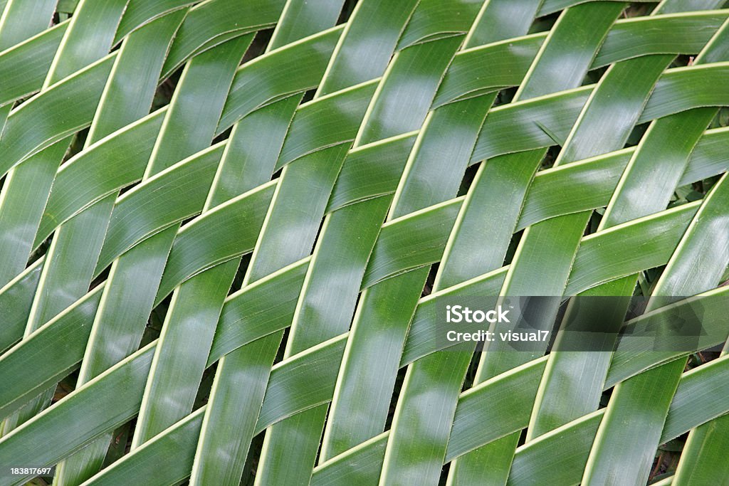 Entrelaçado Folha de palmeira padrão - Royalty-free Abstrato Foto de stock