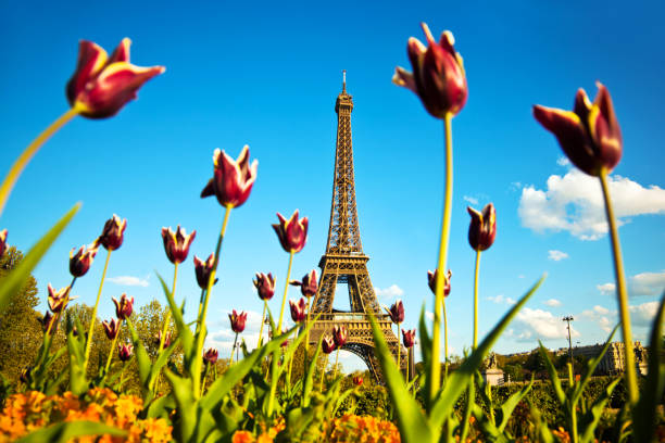 istock Eiffel tower in Paris, France 183817911