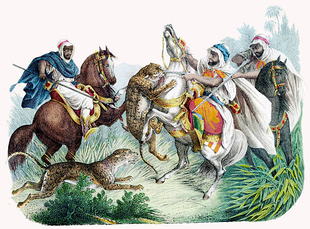los árabes por caballos, caza leopards