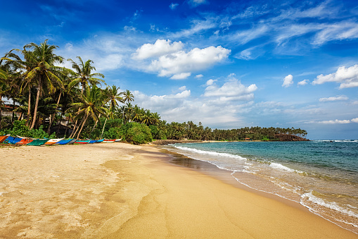 Tropical vacation holiday background - paradise idyllic beach. Mirissa, Sri lanka