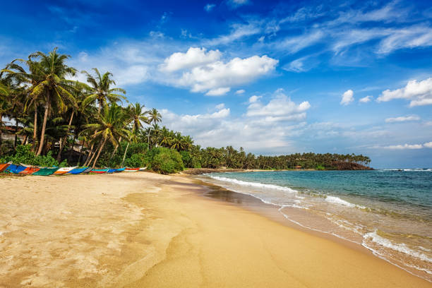 Mirissa beach, Sri lanka Tropical vacation holiday background - paradise idyllic beach. Mirissa, Sri lanka southern sri lanka stock pictures, royalty-free photos & images
