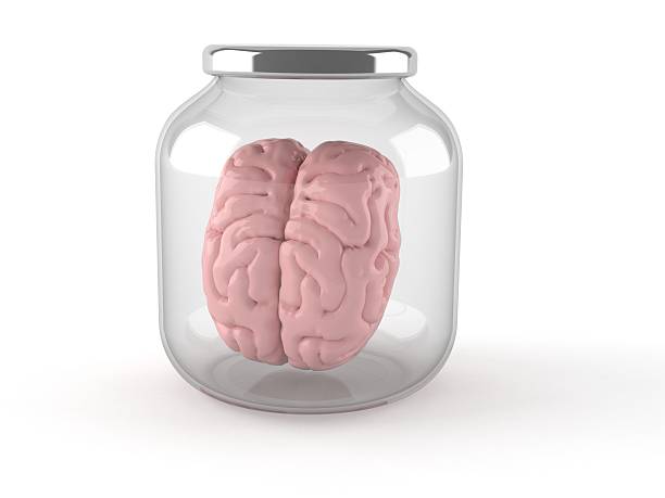 Brain Brain in jar isolated on white background brain jar stock pictures, royalty-free photos & images
