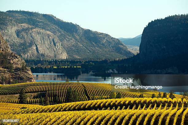 Vineyard Okanagan Valley Mcintyre Bluff Stockfoto und mehr Bilder von Okanagan-Tal - Britisch-Kolumbien - Okanagan-Tal - Britisch-Kolumbien, Weingut, Penticton