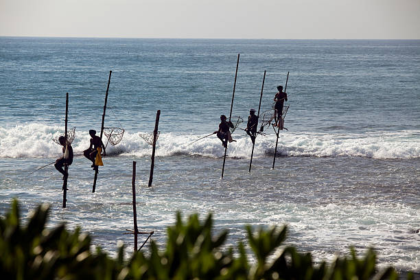 istock stilt fishing sri lanka 183818477