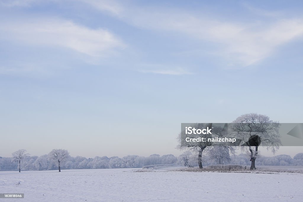 Escena de invierno cubierto de nieve campiña - Foto de stock de Cheshire libre de derechos