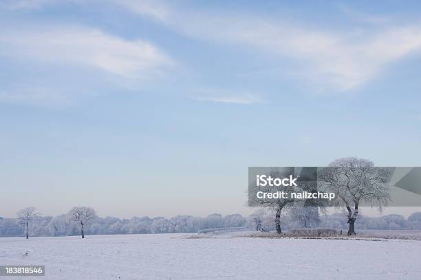 Escena De Invierno Cubierto De Nieve Campiña Foto de stock y más banco de imágenes de Cheshire - Cheshire, Escarcha, Escena rural