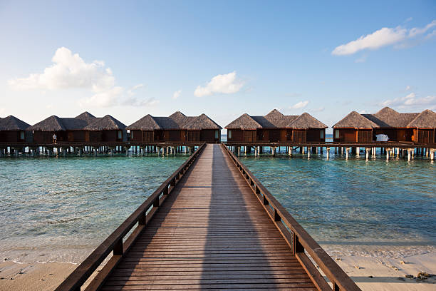 istock wooden walkway to villas 183818573