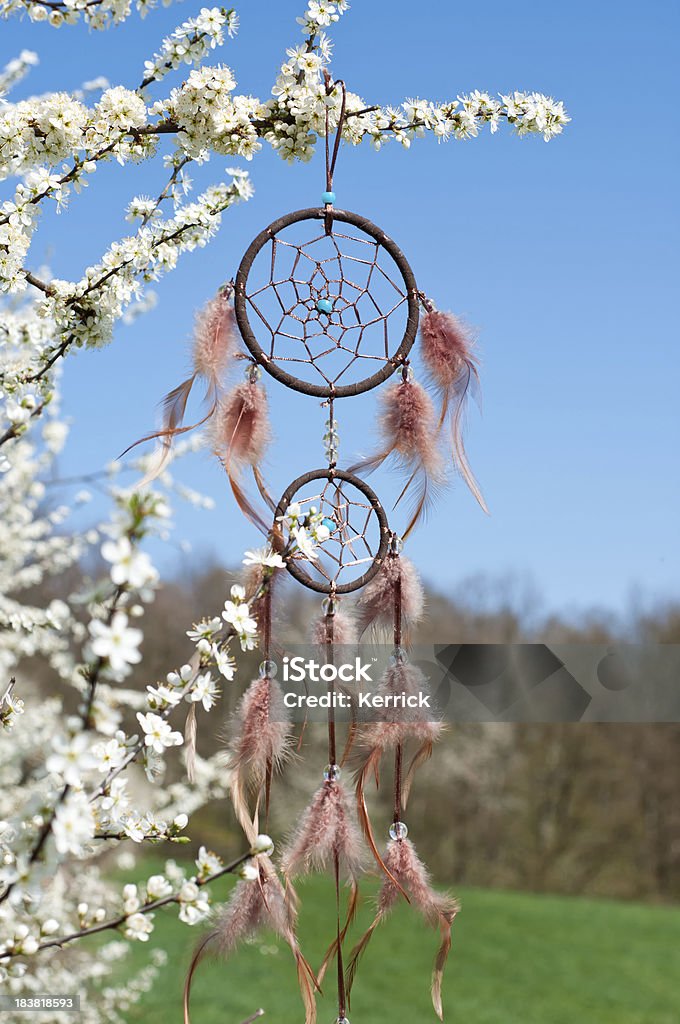 Indianischer Traumfänger in Schlehdorn bush - Lizenzfrei April Stock-Foto