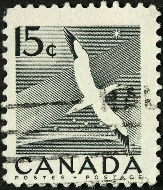 istock Canadian albatross on an old postage stamp 183818609