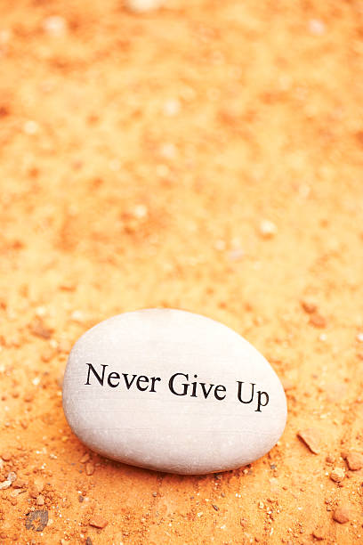 istock Rock with 'Never Give Up' written on it 183818778