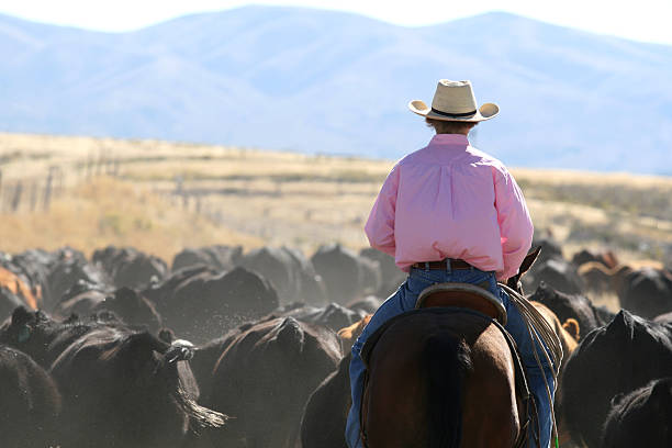 istock livin the cowboy way 183818794