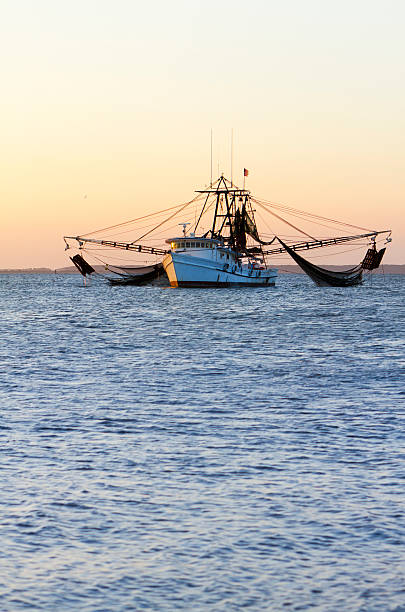 креветки fishing лодка с nets out - sailing ship nautical vessel rigging industrial ship стоковые фото и изображения