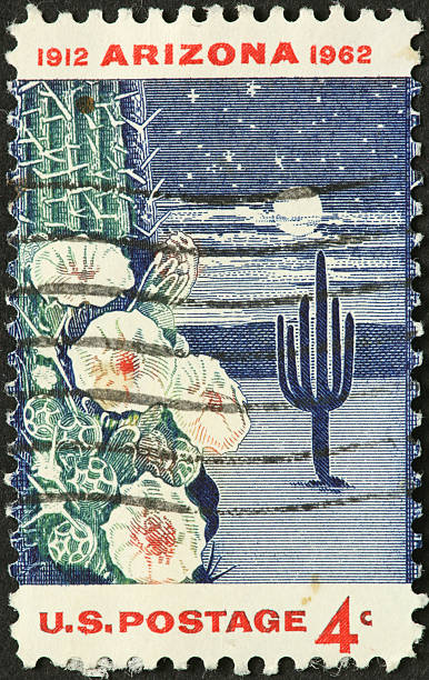 noc rozkwiecony arizona kaktus na anold znaczek pocztowy - arizona postage stamp cactus travel zdjęcia i obrazy z banku zdjęć