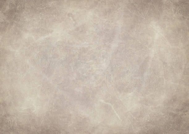 istock High Resolution Animal Skin Old Parchment Vignetted Grunge Texture 183820705