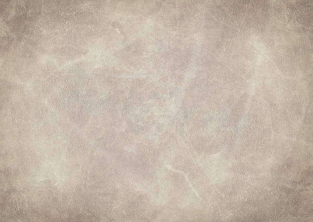 High Resolution Animal Skin Old Parchment Vignetted Grunge Texture stock photo