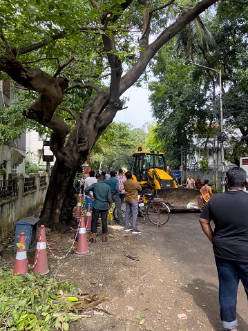 Chennai, Tamil Nadu, India - December 05 2023: Greater Chennai Corporation workers clearing out the debris from the fallen tree due to effect of severe cyclonic storm Michaung.
