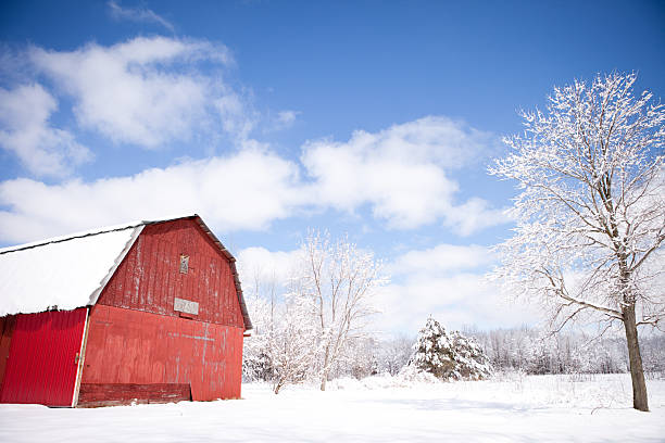 istock Red Barn and Snow Scene with Blue Sky During Winter 183820998