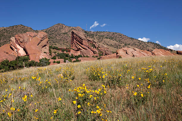 istock Sunflowers and Red Rocks State Park Ampitheater Colorado 183821805